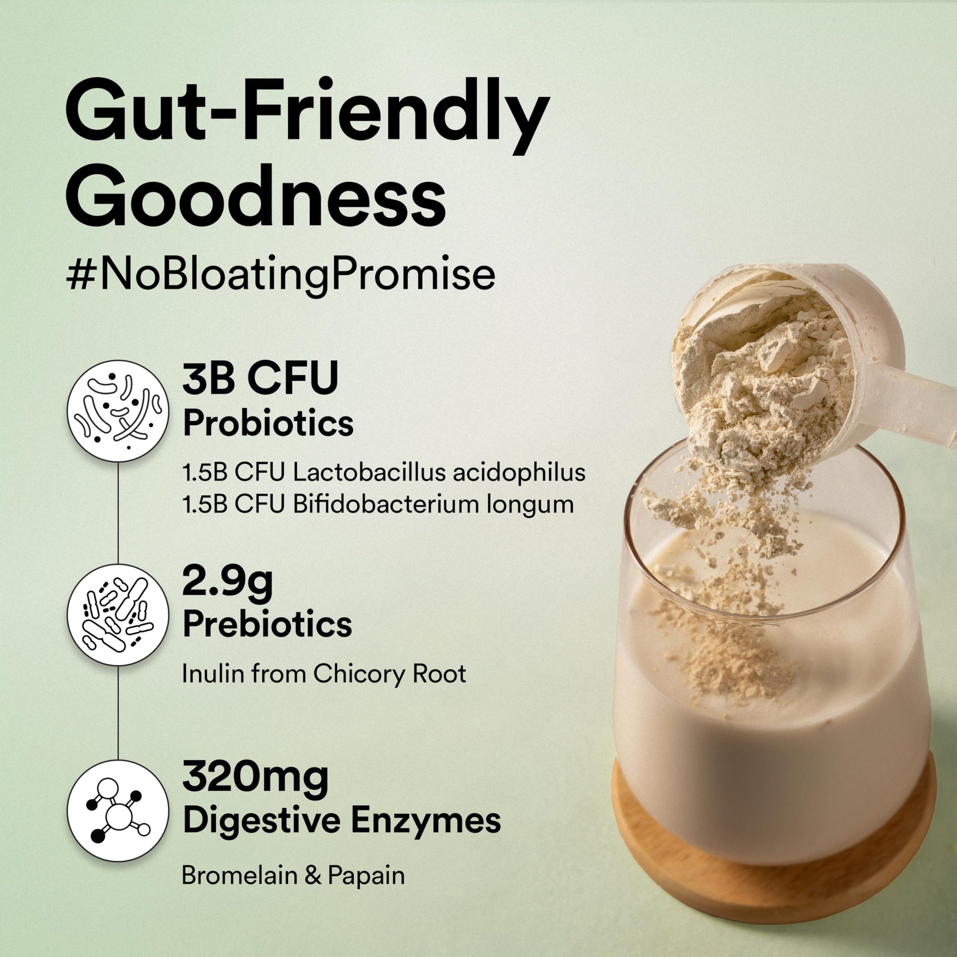 Wellbeing Nutrition Organic Vegan Plant Protein Isolate| 22g Protein, 5- image 4