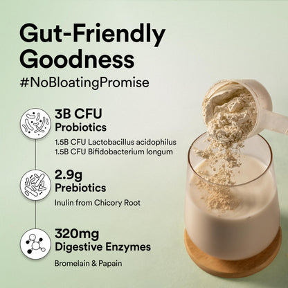 Wellbeing Nutrition Organic Vegan Plant Protein Isolate| 22g Protein, 5- image 4