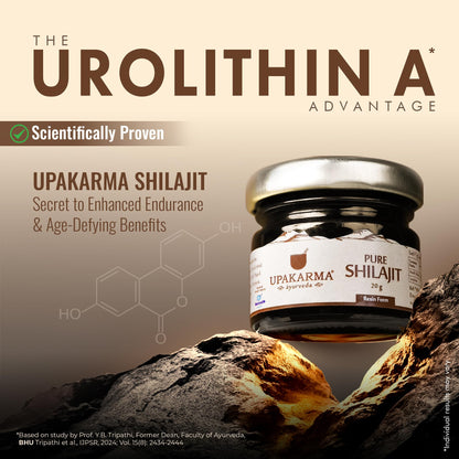 UPAKARMA Ayurveda Shilajit/Shilajeet Resin Form 15g - Pack of 2- image 7