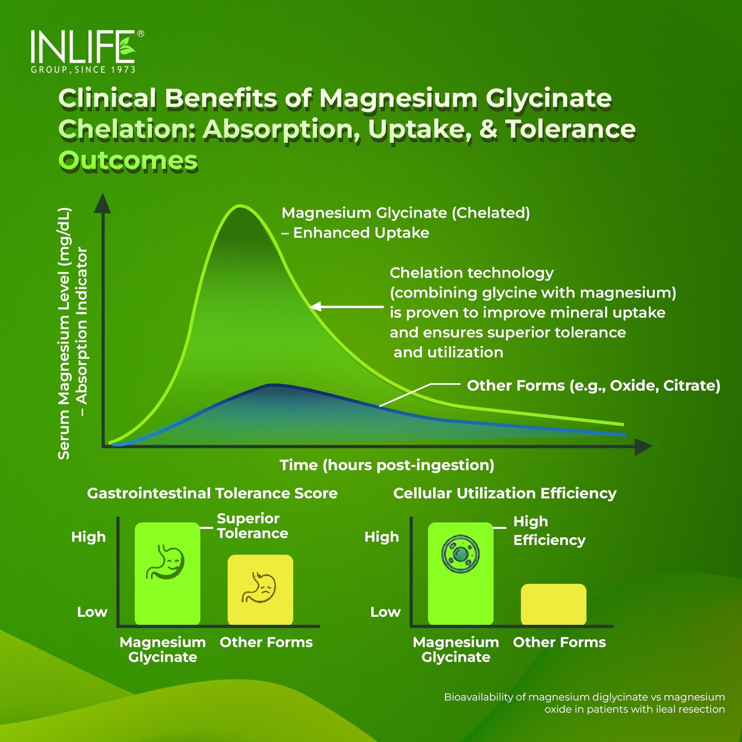 INLIFE Magnesium Glycinate Unbuffered 2000mg with Zinc, Chelated Bisglycinate, Muscle Sleep & Nerve Health, Men Women, 60 Tablets (60 Pack)