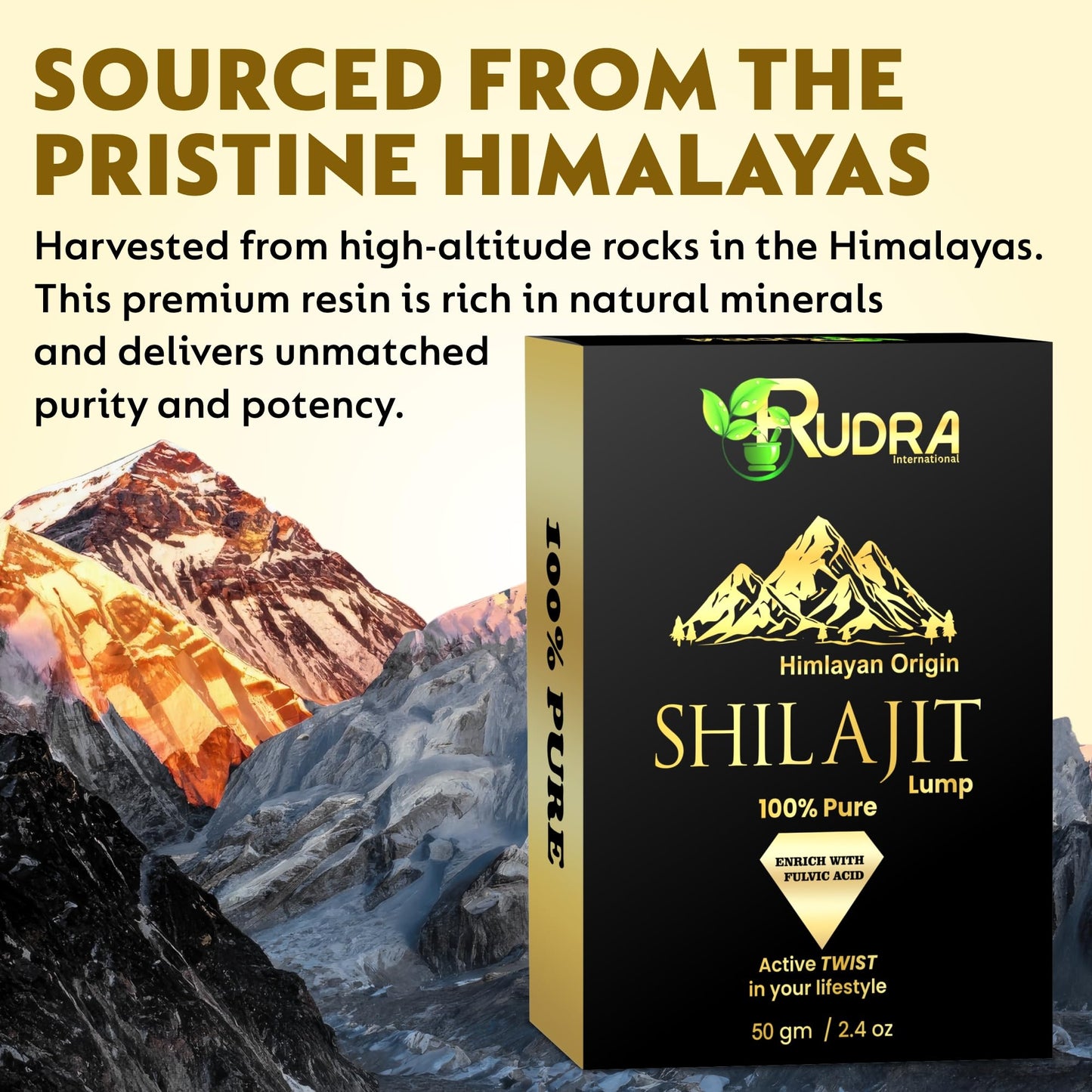 Rudra International Herbal Powder Combo – Safed Musli, Ashwagandha, Kaunch Beej & Shatavari – Ayurvedic Supplement for Stamina, Strength & Wellness & Reproductive Health Support - Pack of 4 (50g Each)