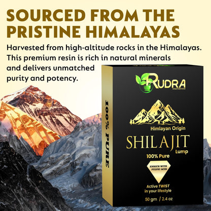 Rudra International Herbal Powder Combo – Safed Musli, Ashwagandha, Kaunch Beej & Shatavari – Ayurvedic Supplement for Stamina, Strength & Wellness & Reproductive Health Support - Pack of 4 (50g Each)