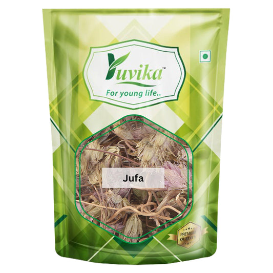 YUVIKA Jufa - Zufa - Hyssopus Officinalis Linn - Hyssop - Issopo - Holy Herb (40