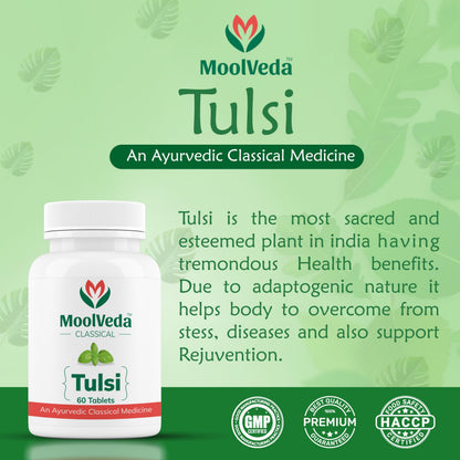 Moolveda Tulsi Tablets | Use For Natural Immunity Booster | Pure Herbs for Respiratory Wellness | 60 Veg Tabltes