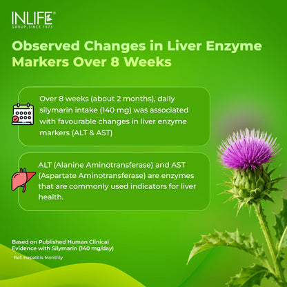 INLIFE Milk Thistle 800mg Silymarin, Silybum Marianum Extract 25:1, Liver Health & Detox Function, Men Women, 60 Veg Capsules (Pack of 1, 60)