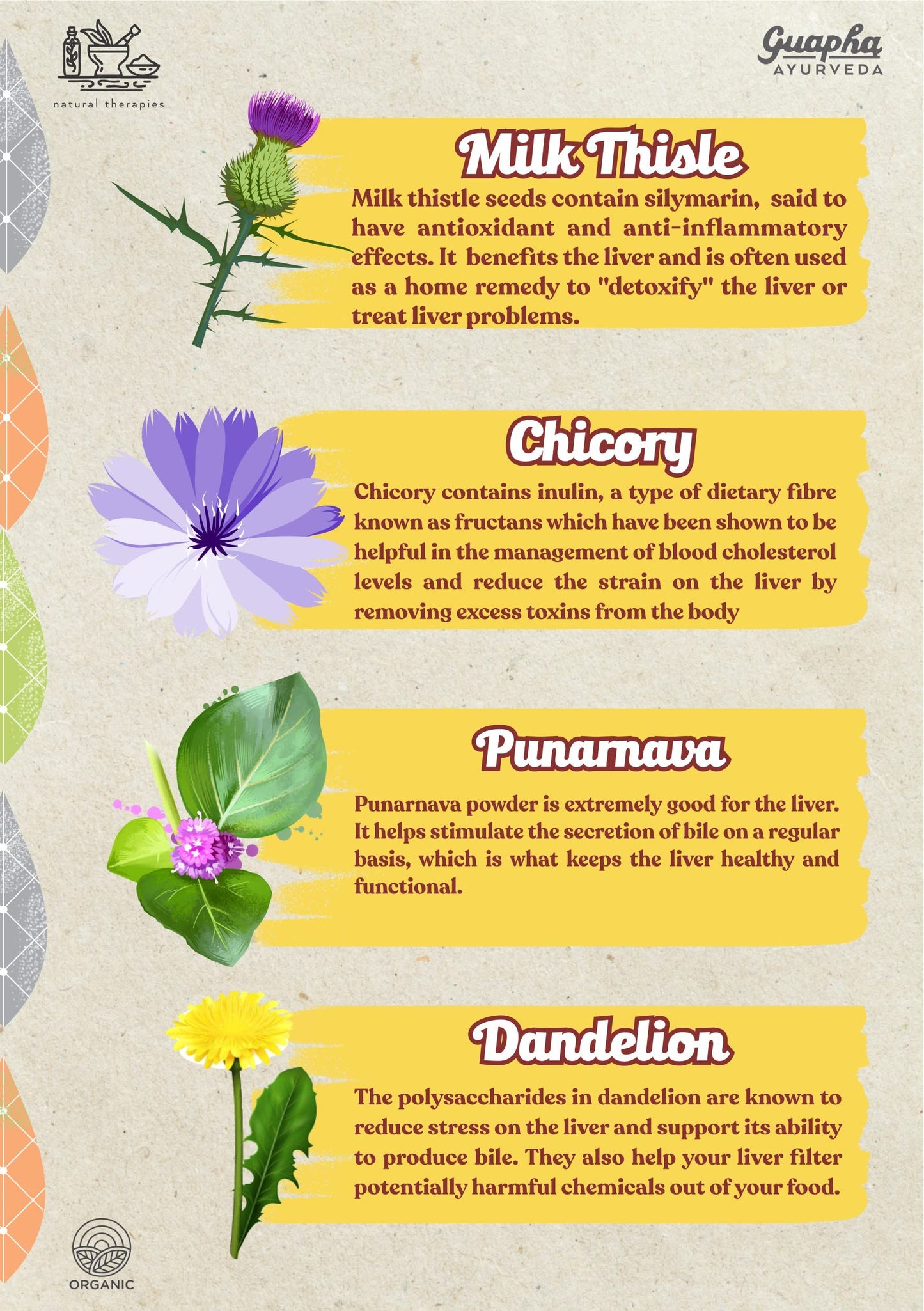 Guapha Ayurveda Liver Wellness | Natural Liver Detox | Supports Gallbla- image 6