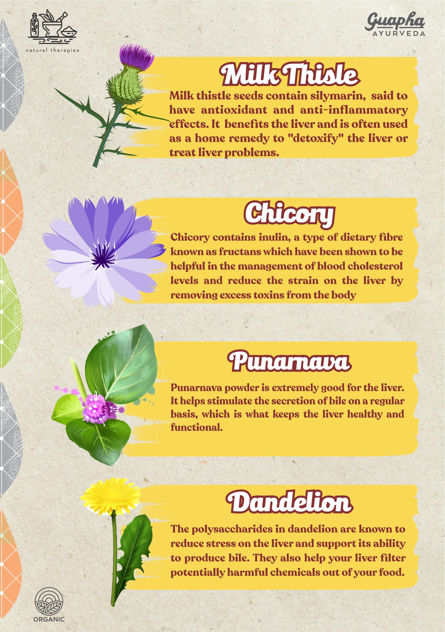 Guapha Ayurveda Liver Wellness | Natural Liver Detox | Supports Gallbla- image 6