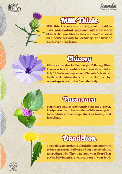 Guapha Ayurveda Liver Wellness | Natural Liver Detox | Supports Gallbla- image 6