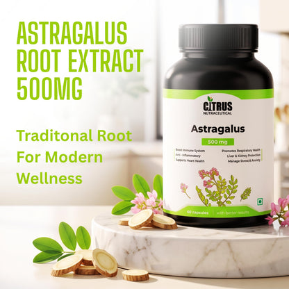 CITRUS NUTRACEUTICAL Astragalus Root Extract 500mg
