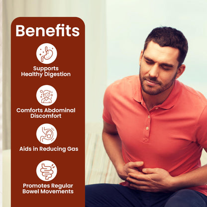 Baidyanath Hingwashtak Churna - 120 gm Powder | Effective Gastric Stimu- image 4