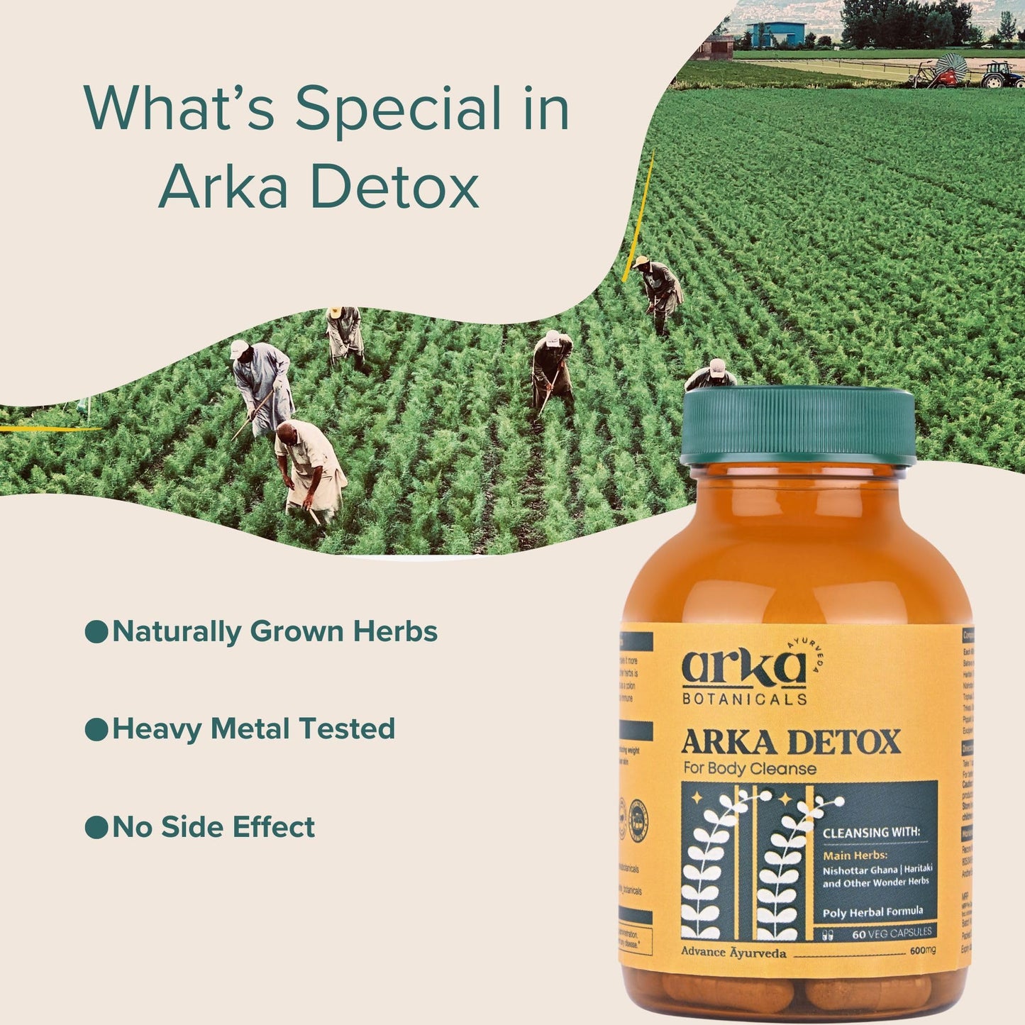 Arka Botanicals Arka Detox 60 Veg Capsules | Natural Body Cleanse & Digestion Support | Ayurvedic Formula with Nishottar Ghana & Haritaki | Plant-Based Detox for Wellness & Gut Health