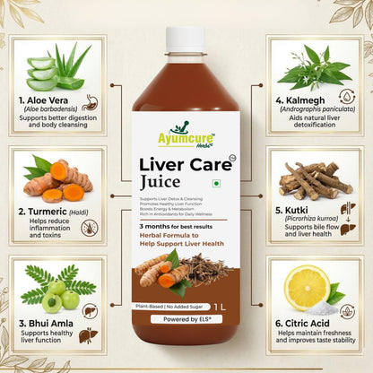 Ayumcure Liver Care Juice | Ayurvedic Herbs Blend for Natural Antioxidant Support, Liver Detox & Cleansing | Aloe Vera, Turmeric, Bhui Amla, Kalmegh & More Powerful Herbs | 1L (Pack of 4)