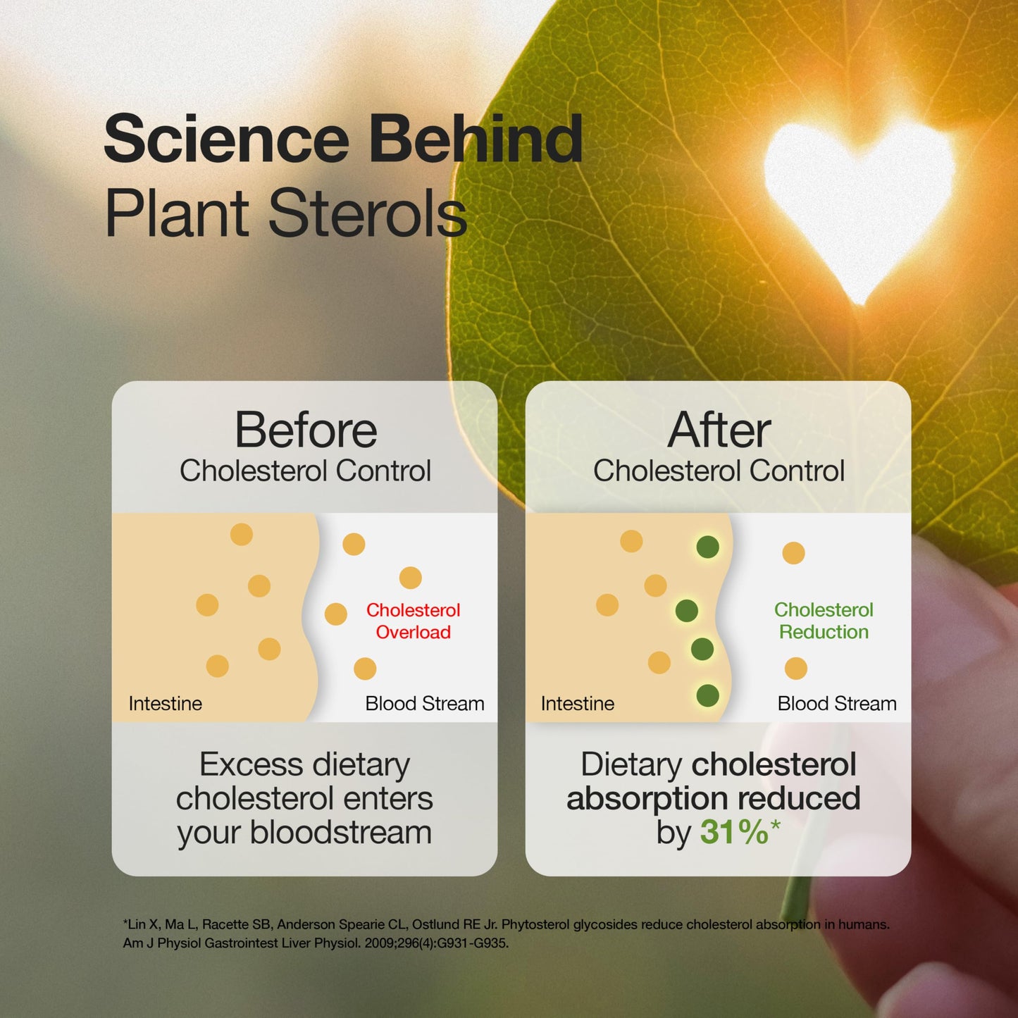 WELLBEING NUTRITION Slow Cholesterol Control With Clinically Proven Corowise & Vegapure®| Plant Sterols | Triglycerides Support| Maintains Healthy Lipid Profile | Supports Heart Health | 60 Capsules
