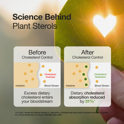 WELLBEING NUTRITION Slow Cholesterol Control With Clinically Proven Corowise & Vegapure®| Plant Sterols | Triglycerides Support| Maintains Healthy Lipid Profile | Supports Heart Health | 60 Capsules