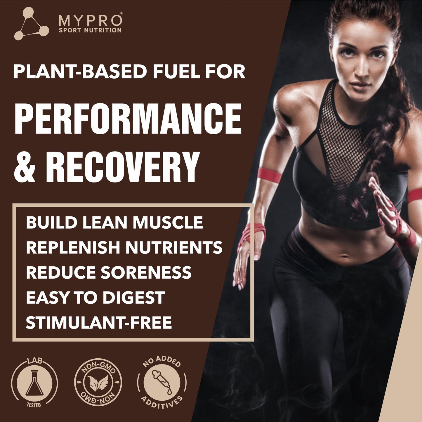 Mypro Sport Nutrition Plant Protein Powder Pea & Brown Rice Protein (23g protein,22 Vitamins & minerals,5g BCAA) Plant Based Vegan Protein Supplement For Men & Women (Alphonso Mango, 500 gm)