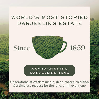 Makaibari Green Bru Darjeeling | Tea Bags| Premium Green Tea | Anti-Oxidants, Immunity Booster | 100 Tea bags