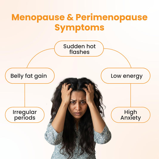 Gytree Menopause Wellness for Women 40+, Plant-Based Support for Hot Flashes, Mood & Hormonal Balance, Daily Wellness Supplement with Superherbs, 60 Capsules