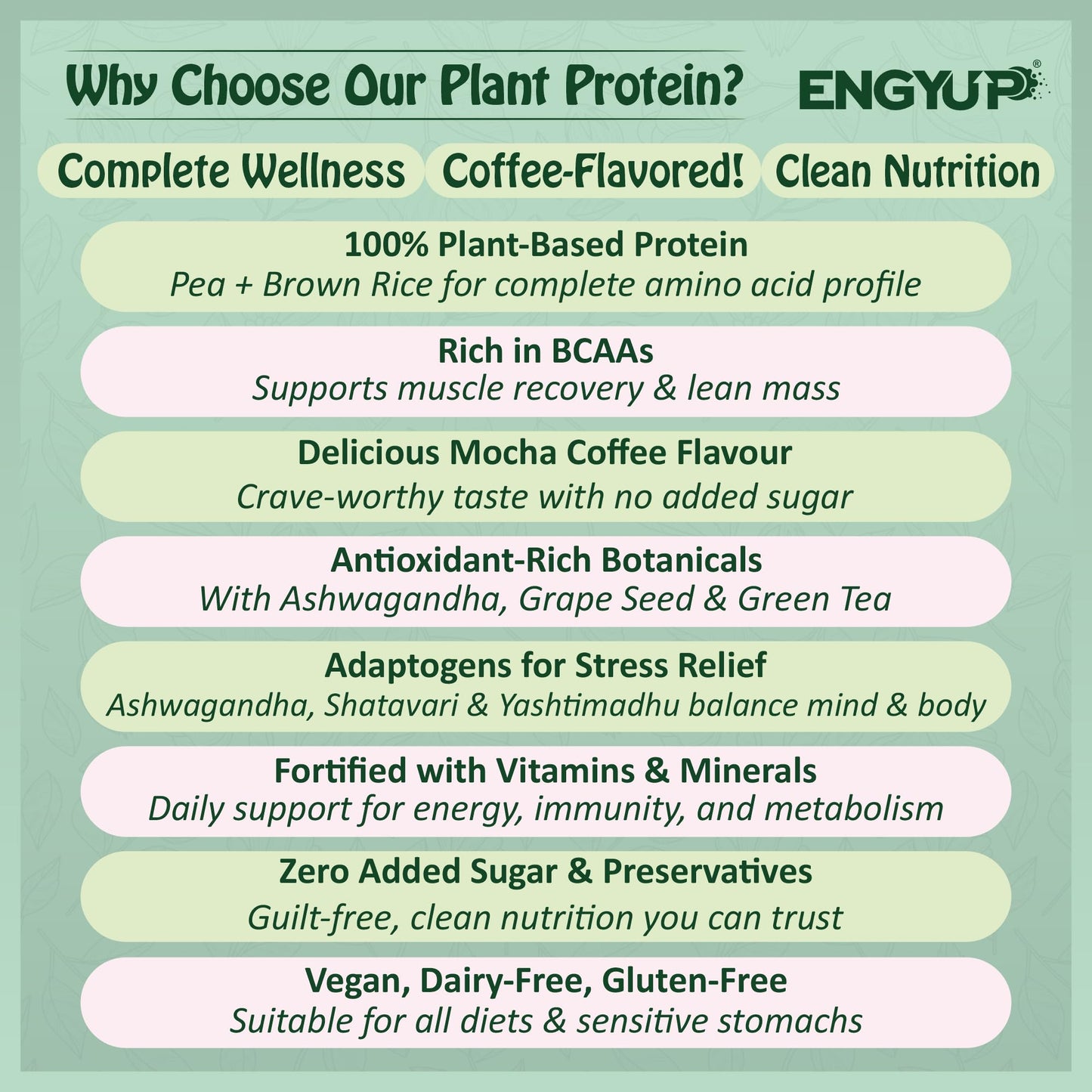 ENGYUP Plant Protein Powder(Pea & Brown Rice Protein) 25g Per Serving | Rich in BCAA with Antioxidants, Vitamins & Minerals, Herbal Extracts | Zero Added Sugar & Easy to Digest | Mocha Coffee Flavor | 400g