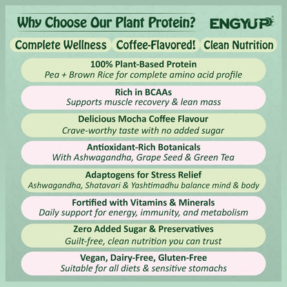 ENGYUP Plant Protein Powder(Pea & Brown Rice Protein) 25g Per Serving | Rich in BCAA with Antioxidants, Vitamins & Minerals, Herbal Extracts | Zero Added Sugar & Easy to Digest | Mocha Coffee Flavor | 400g