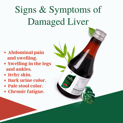 Natural Liver Support Supplement with Ayurvedic Herbs (Bhringraj, Punarnava, Kutki) - Promotes Detox & Healthy Digestion (Pack of 3)
