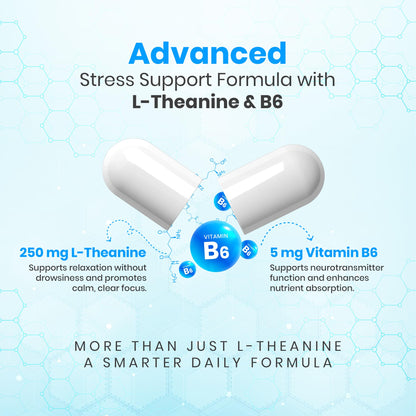 Auraika L Theanine Supplement 250mg – 60 Capsules | Stress Support, Relaxation & Focus | Non-Drowsy Calm with Vitamin B6 | Supports Brain Health & Cognitive Function