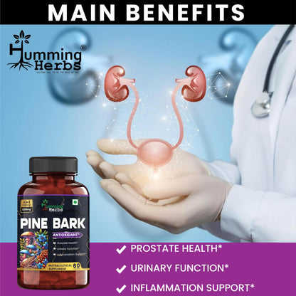 Humming Herbs Pine Bark Extract Capsules 1200mg - Potent Antioxidant for Prostate Health, Urinary Function, and Inflammatory Support - With Lions Mane, Turmeric, Alpha Lipoic Acid