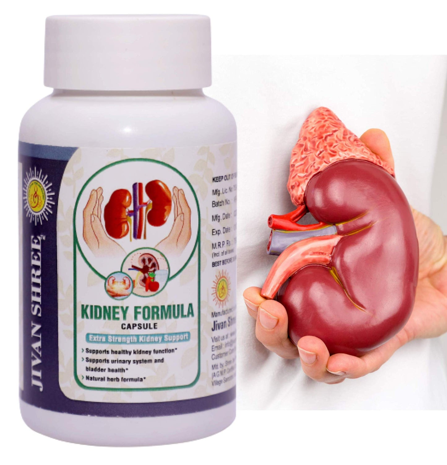 Jivan Shree Yog and Ayurved Kidney Formula & Liver Formula Combo | Daily Herbal Wellness Supplement | Ayurvedic Extracted Capsules 60 Each