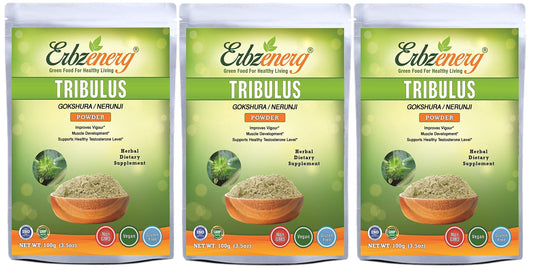 ERBZENERG Gokshura (Tribulus terrestris) Powder – 100g x 3, Pack of 3