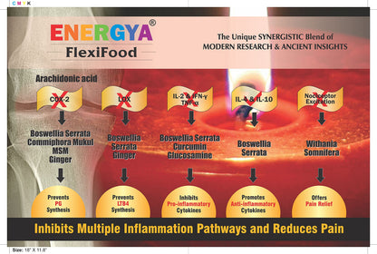 ENERGYA Flexifood (Pack of 3)_Unique Combination of Collagen, Glucosamine, MSM, Ashwagandha, Boswelia, Rose hip, Vitamin C, Calcium for Joint Pain, Antiageing, Skin Health