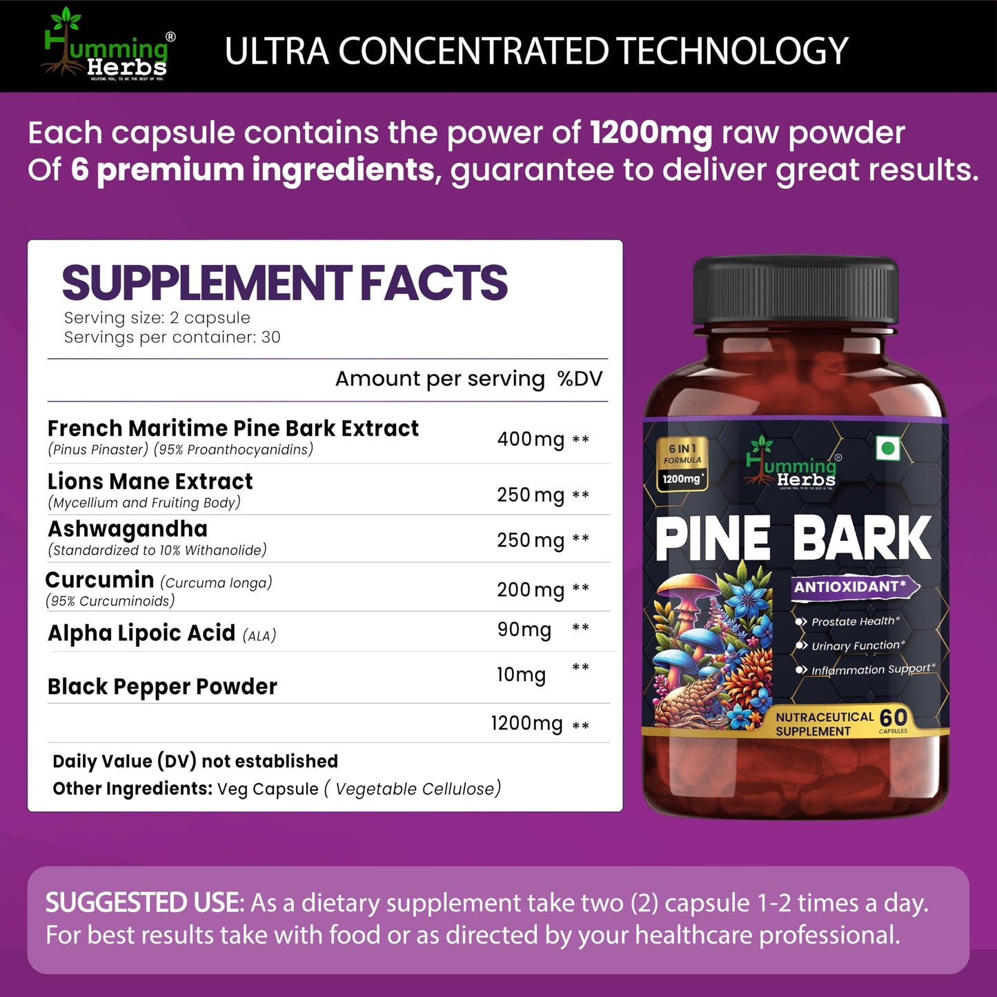 Humming Herbs Pine Bark Extract Capsules 1200mg - Potent Antioxidant for Prostate Health, Urinary Function, and Inflammatory Support - With Lions Mane, Turmeric, Alpha Lipoic Acid