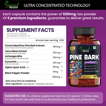 Humming Herbs Pine Bark Extract Capsules 1200mg - Potent Antioxidant for Prostate Health, Urinary Function, and Inflammatory Support - With Lions Mane, Turmeric, Alpha Lipoic Acid