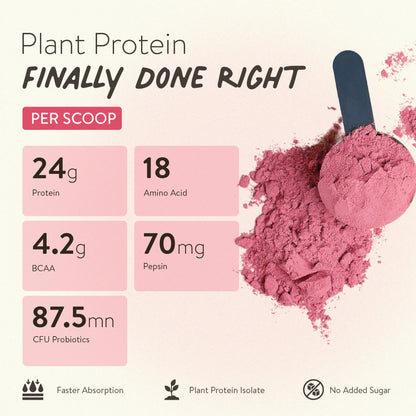 Happy Cultures 24g Tastiest Plant Protein| Mahabaleshwar Strawberry & Almond Chunks| No Added Sugar| Pea & Brown Rice Protein Isolate| Vegan| 20 Complete Amino Acids| Monk Fruit Extract| Women & Men| No Bloating, Easy to Digest| Dairy Free with Probiotics