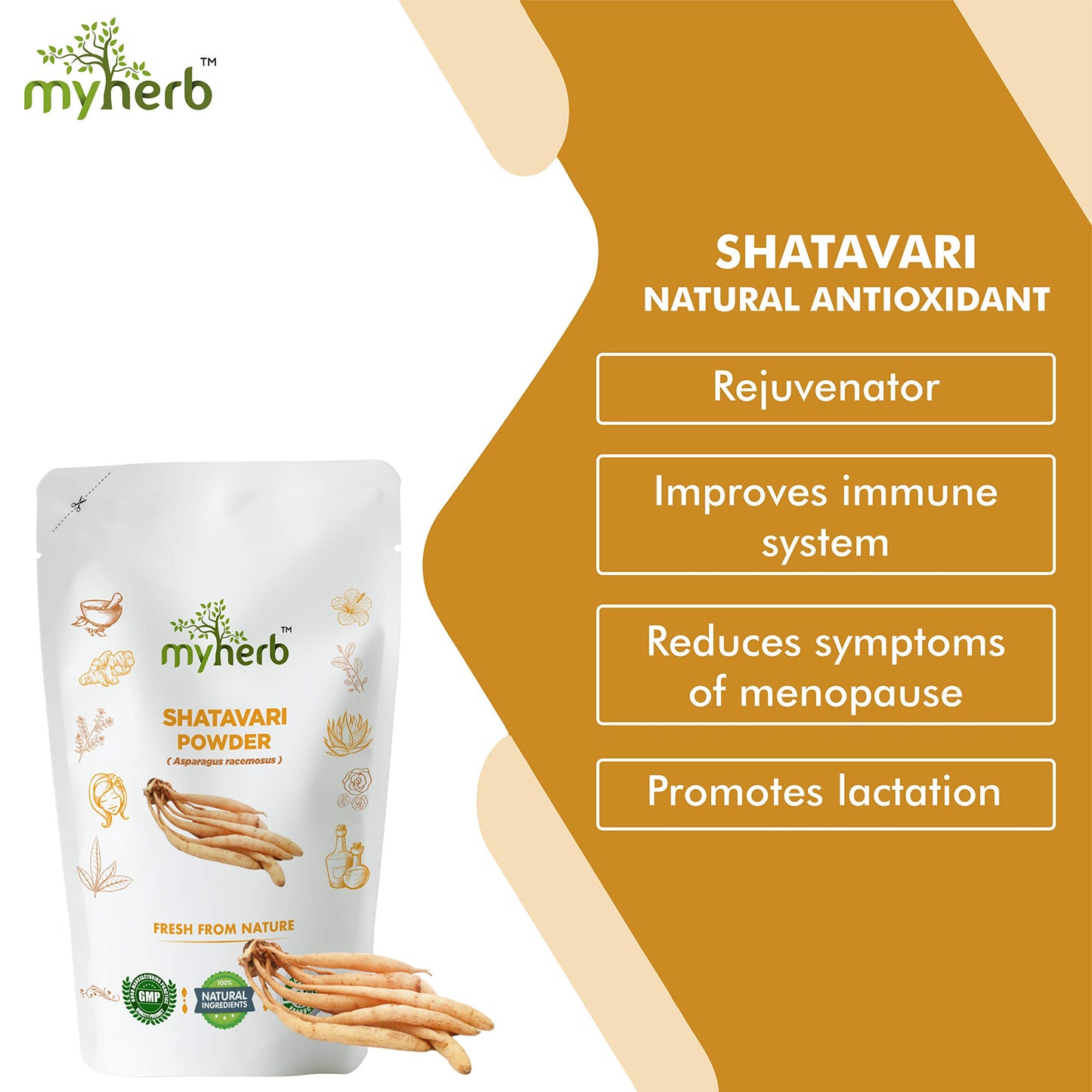 MYHERB 100% Natural Organic Shatavari Powder (Asparagus racemosus) || 227 Gm/0.5 Lbs || Promotes Vitality and Strength || For Men & Women