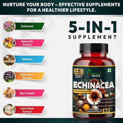 Humming Herbs Echinacea 1200mg with Elderberry & Bee Propolis - Immune Support Complex for Cold Prevention & Healing - Antioxidant, Immunity Boosting & Defense From Infection