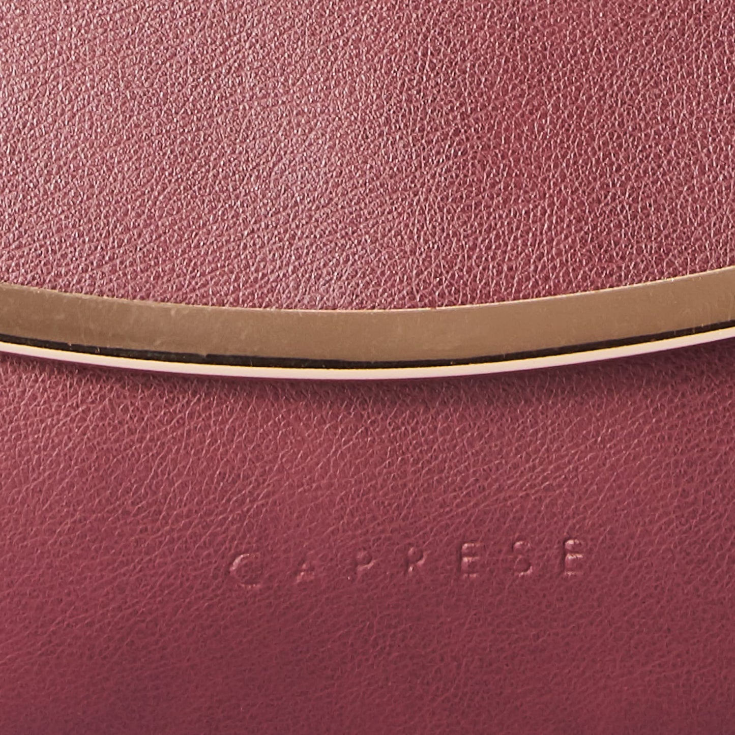 Caprese womens YONDELLA SB Medium PLUM Sling Bag