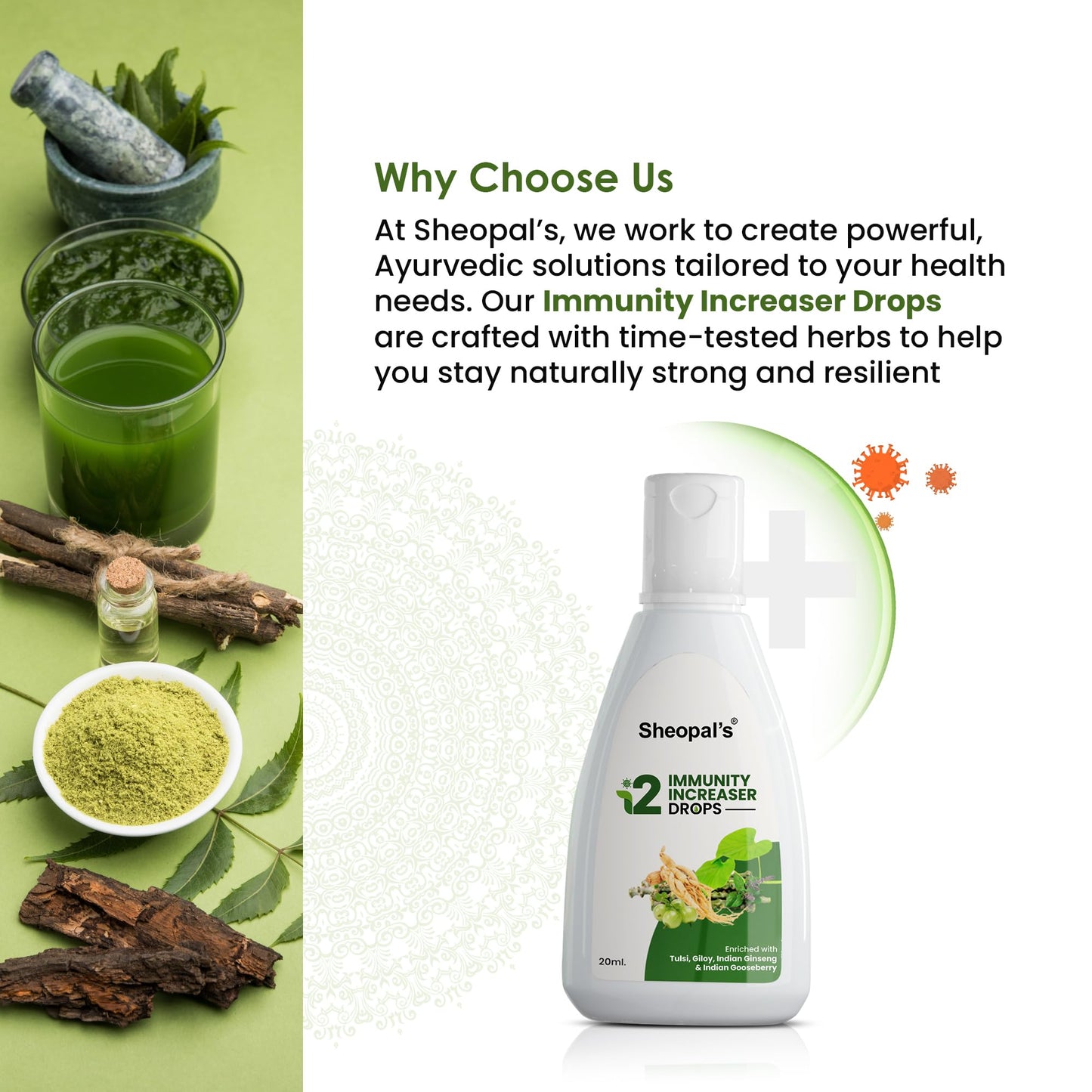 Sheopal’s I2 Immunity Booster Drops (20 ml) – Ayurvedic Blend of Tulsi,- image 4