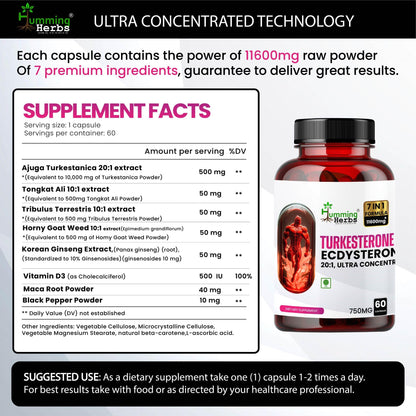Humming Herbs Turkesterone Ecdysterone Ajuga Turkestanica Supplement with Tongkat Ali Horny Goat weed & maca | Boost Muscle Growth, Memory Support - 60 Capsules