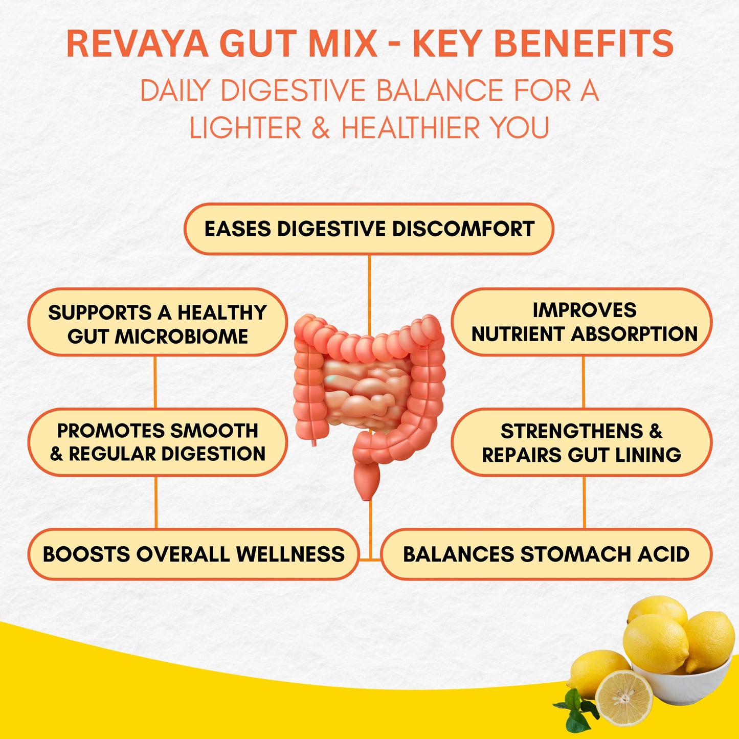 Revaya Gut Reset Detox Drink, Helps in Digestion and Bloating Relief | Ayurvedic Gut Health Formula & Digestion Support | Improve Gut Health with Licorice, Ginger, Fennel, Cumin & Milk Thistle | Gut Cleanser 14 Sachets, Lemon Flavour