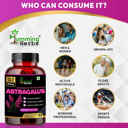 Humming Herbs Astragalus Root Extract Capsules - Supports Immune System, Cardiovascular & Liver Health - Natural Antioxidant & Anti-Aging Supplement