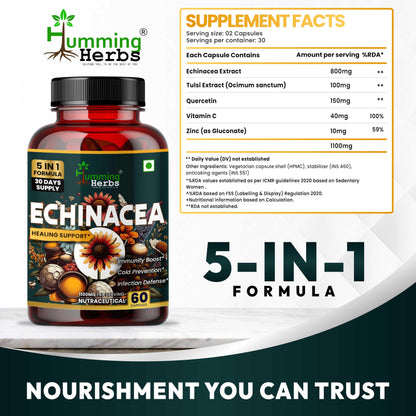 Humming Herbs Echinacea 1200mg with Elderberry & Bee Propolis - Immune Support Complex for Cold Prevention & Healing - Antioxidant, Immunity Boosting & Defense From Infection