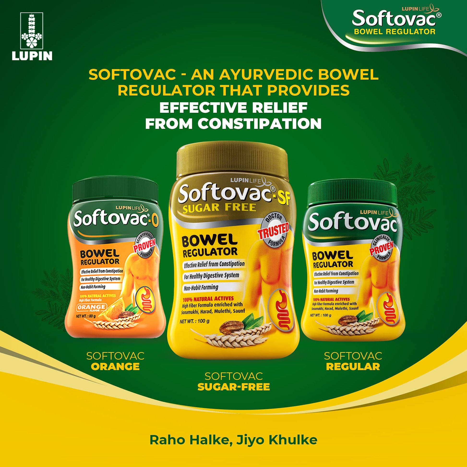 Softovac-SF Isabgol Bowel Regulator Powder 250g, Relieves Constipation- image 2