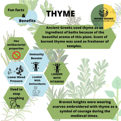 Indiana Organic Thyme herb Dry Whole Leaves - 40 Gm | 100% Natural | No Artificial Colour Flavour added 40 gram (Pack of 1)