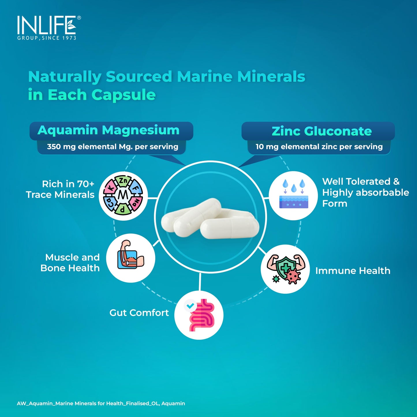 INLIFE Aquamin Marine Magnesium, Highly Bioavailable with 70+ Trace Minerals, Muscle Bone & Gut Health Support, 60 Veg Capsules