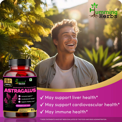 Humming Herbs Astragalus Root Extract Capsules - Supports Immune System, Cardiovascular & Liver Health - Natural Antioxidant & Anti-Aging Supplement