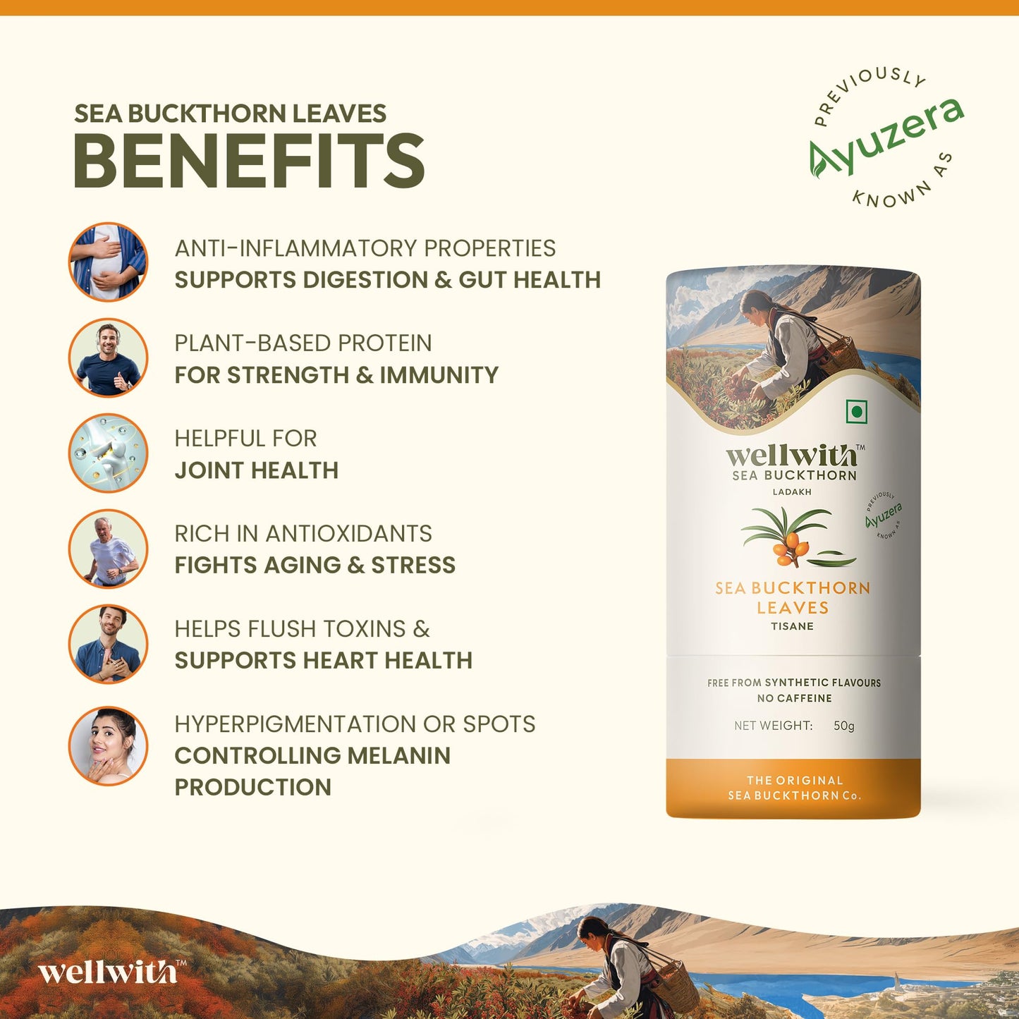 Wellwith by Ayuzera Sea Buckthorn Raw Leaves Tea, Good For Skin and Immunity, For a Healthy Lifestyle - Himalayan Seabuckthorn Herbal Leaf Tea - Pure & Natural (50g)