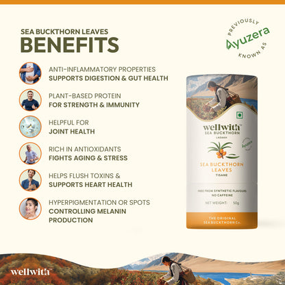 Wellwith by Ayuzera Sea Buckthorn Raw Leaves Tea, Good For Skin and Immunity, For a Healthy Lifestyle - Himalayan Seabuckthorn Herbal Leaf Tea - Pure & Natural (50g)
