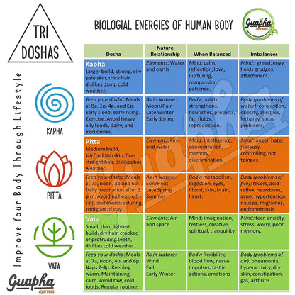 Guapha Ayurveda Liver Wellness | Natural Liver Detox | Supports Gallbla- image 3