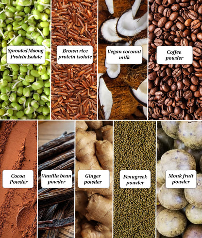 It's Moong Mung Bean & Brown Rice Isolate Plant Protein Powder for Men & Women | 24gms per serve 4.7gms BCAA| African Cocoa Latte | 500gms | Sprouted Plant based protein | Plant Protein
