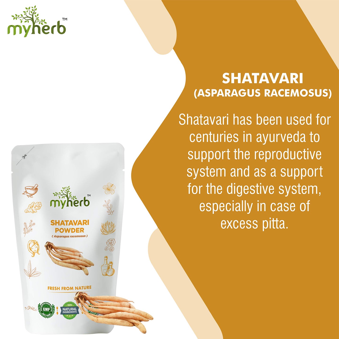 MYHERB 100% Natural Organic Shatavari Powder (Asparagus racemosus) || 227 Gm/0.5 Lbs || Promotes Vitality and Strength || For Men & Women