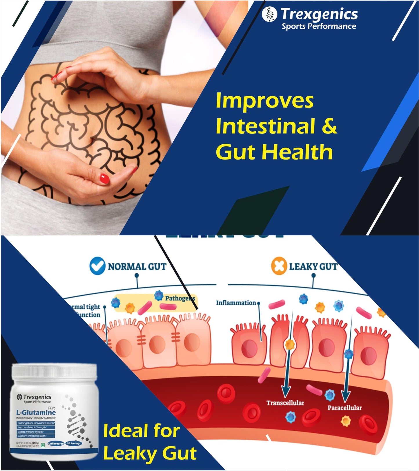 Trexgenics L-GLUTAMINE Pure Powder (50 Servings) Muscle Building Block for Strength & Growth, Leaky Gut Health, Immunity (250 gm) (Pack of 1)